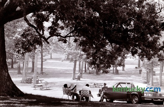 A huge old burr oak tree provided shade and cooler air for Ray Garr and his family in Castlewood Park August 10, 1981. Photo by Ron Garrison | Staff