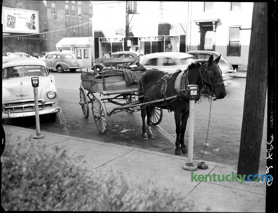 Lexington Leader photographer John C. Wyatt found this rig parked on North Limestone Street near the Lexington post office in November  of 1952. The wagon and Mollie, an 11 year old mare, were owned by J.C. Snowden of Route 6, Lexington. Published in the Lexington Leader November 10, 1952 Photo by John C. Wyatt | Staff