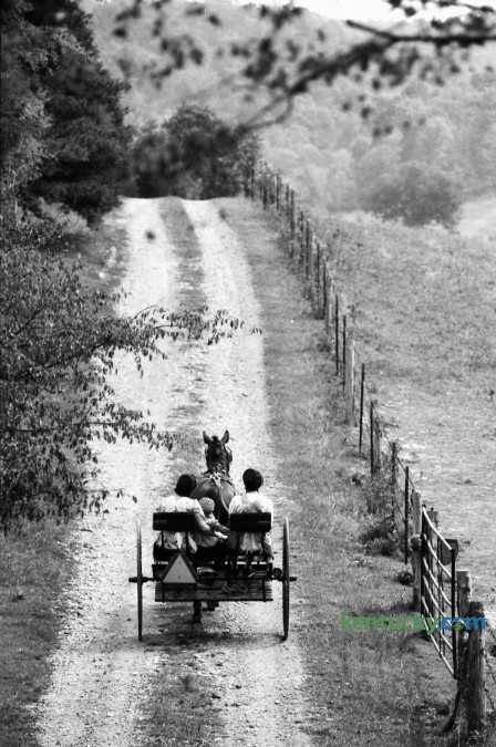A Mennonite family drove a horse-drawn buggy down a country road in Casey County in 1991. The photo ran in the paper as part of a 'Day Trip' feature to various communities in the state. Photo by David Perry | Staff