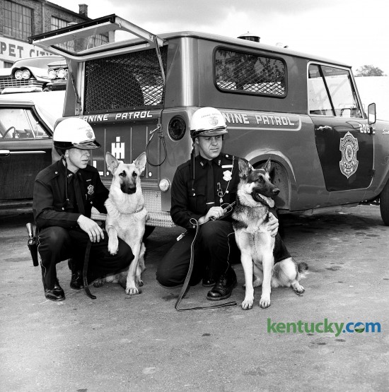 The Lexington Police Department's first canine unit, Nov. 1962. Pictured from left are Patrolmen Robert Waggoner and Eugene Bowling and their police dogs, Buddy and MacDuff.  Published in the Lexington Herald November 4, 1962. Herald-Leader Archive Photo