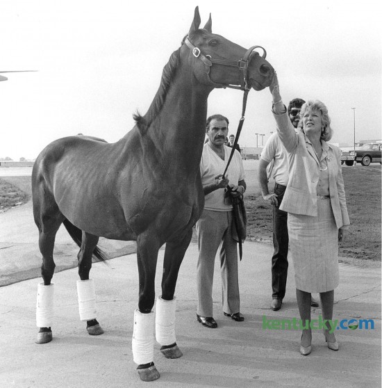Kentucky Governor Martha Layne Collins gives John Henry a rub on the head after the famous Thoroughbred race horse arrived in Lexington Aug. 26, 1985 at Blue Grass Field, now called Blue Grass Airport. The two-time Eclipse Horse of the Year winner was coming home to Lexington for his retirement at the Kentucky Horse Park. John Henry, a 10-year old gelding at the time of his retirement, was  taken to the Horse Park where waiting there was a shiny, new stall made of oak and brass in a barn named aptly enough "The Hall of Champions." John Henry, the oldest horse to win a Grade 1 race - at age 9 - lived out his retirement for 22 years at the Horse Park. He was burried in front of the Hall of Champions at a spot in front of his paddock. Photo by Frank Anderson | Staff