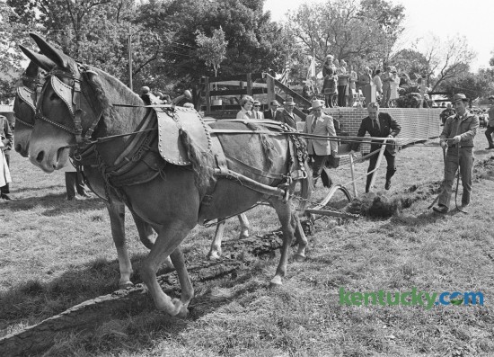 Kentucky Governor Wendell Ford used a breaking plow to turn the turf to officially start construction at the ground breaking for the  Kentucky State Horse Park October 4, 1974 on Iron Works Pike in Fayette  County. Photo by Frank Anderson | Staff