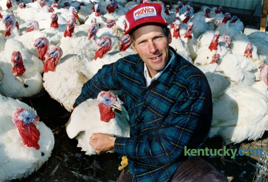 Tom Tewes posed with a few of his flock of turkeys, at Tewes Turkey farm in Erlanger, Ky. on November 26, 1991. Photo by Frank Anderson | Staff