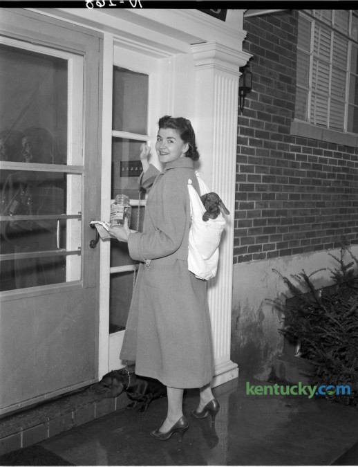 Mrs. Harold B. Pressman will carry her puppy in a knapsack as she makes her rounds collecting for the Mothers March on Polio in January 1957. The photo was taken to promote the upcoming collection march in which 2,250 women were scheduled to knock on doors Thursday January 31, 1957 in Lexington and Fayette County. Published in the Lexington Leader January 29, 1957. Herald-Leader Archive Photo