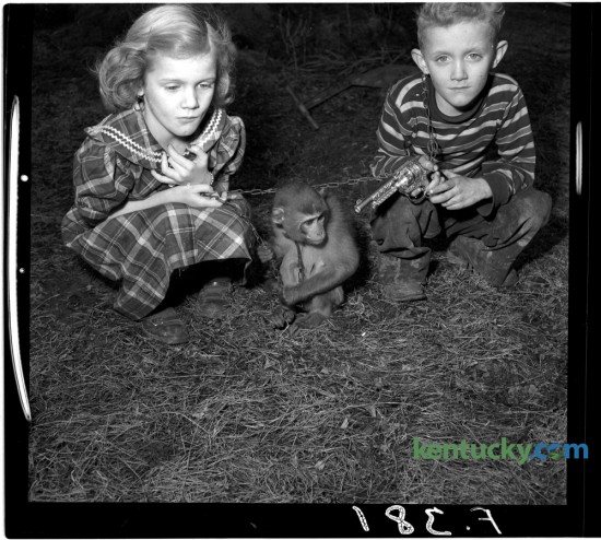 Mary Jo and Robert Dale Feeback, who lived near Millersburg, posed for a photo with their pet monkey in February 1951. Herald-Leader Archive Photo