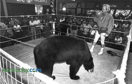 Victor the wrestling Bear took on all commers during Fayette Mall's ninth anniversary celebration in September 1980. Victor, stood 6'9" tall and weighed around 650 pounds. Anyone over the age of 18 could wrestle Victor. Photo by Ron Garrison | Staff