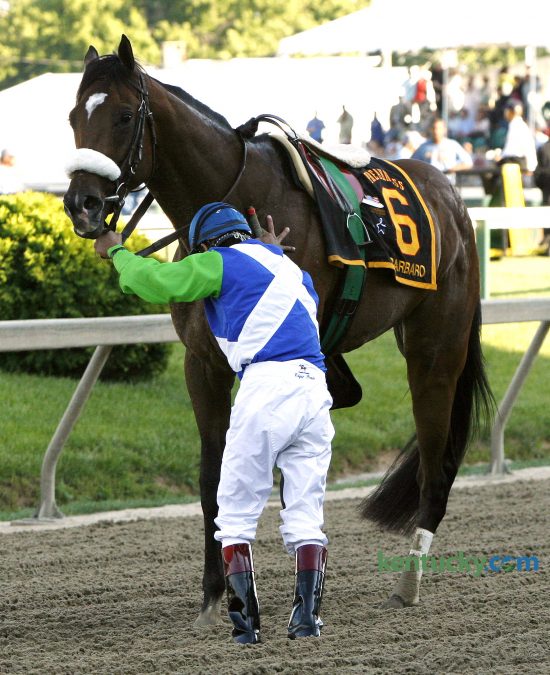 As the race continued, Jockey Edgar Prado steadied Barbaro shortly after the start of the Preakness Stakes May 20, 2006. "I really can't tell you what happened," Prado said. "I heard a noise about 100 yards into the race and pulled him right up." Photo by David Stephenson | Staff