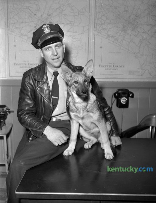 Fayette County Patrol Chief Kenneth Banks was shown with a German Police pup he planned to train for police work. Photographed in March 1956. The United States Police Canine Association Region 5 Certification and Trials concludes today at the Carnahan House. Herald-Leader Archive Photo