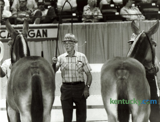 L.C. Tabor of Allen County tried to get his mules' attention as he waited for the judge in the Mule Showing contest at the Kentucky State Fair in Louisville August 22, 1985. This year's fair continues through this Sunday. Tabor raised and sold show mules. Photo by Frank Anderson | Staff