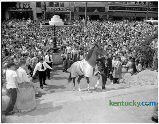 Bess, "the horse with the human mind," led by trainer Joe Atkinson, mounted the steps of the Fayette County courthouse as a crowd of several thousand persons surged after him, filling the courthouse lawn and completely blocking Main Street. The milling mob so excited Bess that he had to be calmed before performing some of the tricks that had won him a widespread reputation. Bess was exhibited at the courthouse on Saturday September 14, 1946, after a parade down Main Street. In the center background, a newsreel cameraman, mounted on an automobile, photographed the crowd and the performance. Bess, who's real name was Harry, was a 7-year-old gelding and the star of the movie "Gallant Bess" which was to have it's world premiere in Lexington the following week. Herald-Leader Archive Photo