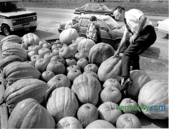 Jack Cains of Georgetown, climbed into a wagon of pumpkins at a roadside stand on US 27 north of Nicholasville to pick one for his daughter to carve into a jack-o-lantern on October 18, 1985. The pumpkins were grown by Hubert Caudill, background on the left, who was talking with Faye and Edith Collette. Caudill grew produce and pumpkins on his farm on Vince Road and sold them from the back of his farm wagon on Nicholasville Road.  Photo by David Perry | Staff
